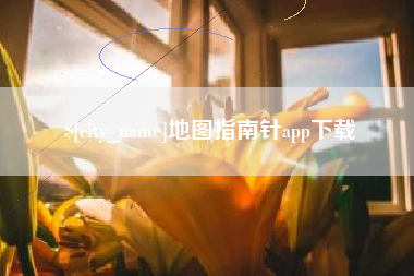 阳春地图指南针app下载