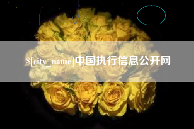 阳春中国执行信息公开网