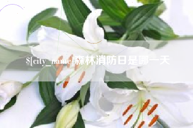 阳春森林消防日是哪一天