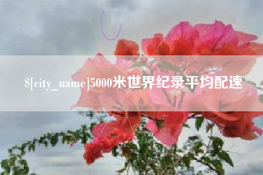 阳春5000米世界纪录平均配速