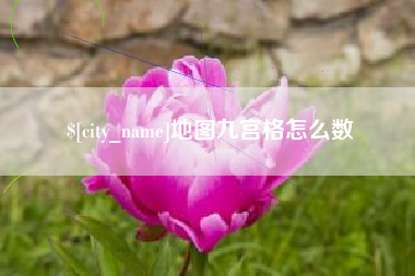阳春地图九宫格怎么数