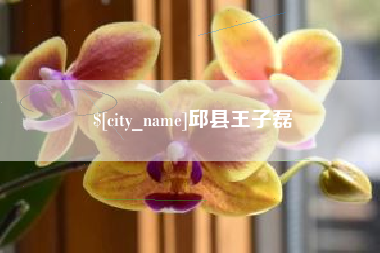 阳春邱县王子磊