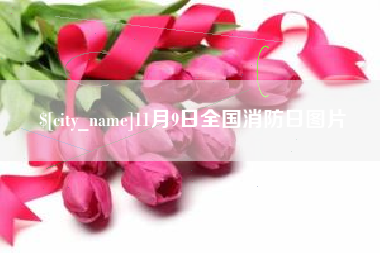 阳春11月9日全国消防日图片