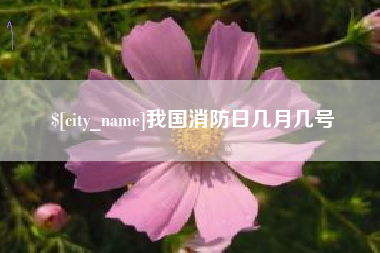 阳春我国消防日几月几号