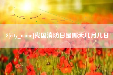 阳春我国消防日是哪天几月几日