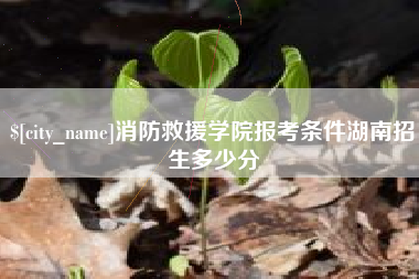 阳春消防救援学院报考条件湖南招生多少分
