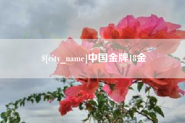 阳春中国金牌18金