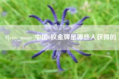 阳春中国6枚金牌是哪些人获得的