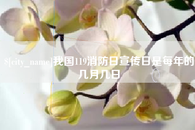 阳春我国119消防日宣传日是每年的几月几日