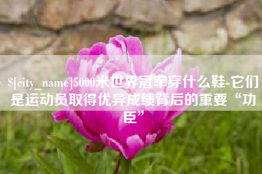 阳春5000米世界冠军穿什么鞋-它们是运动员取得优异成绩背后的重要“功臣”