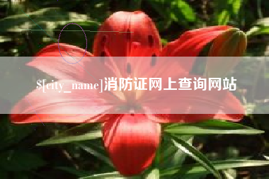 阳春消防证网上查询网站