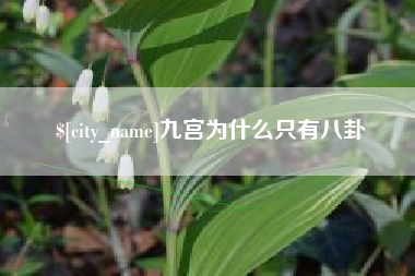 阳春九宫为什么只有八卦