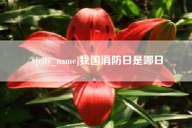 阳春我国消防日是哪日