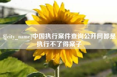 阳春中国执行案件查询公开网都是执行不了得案子