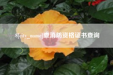 阳春查消防资格证书查询