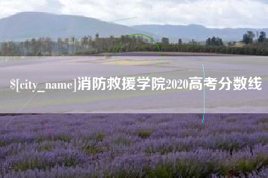 阳春消防救援学院2020高考分数线