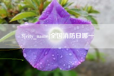 阳春全国消防日哪一