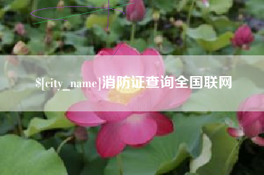 阳春消防证查询全国联网