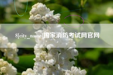 阳春国家消防考试网官网