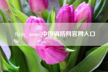 阳春中国消防网官网入口