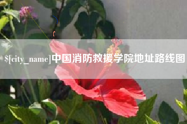 阳春中国消防救援学院地址路线图