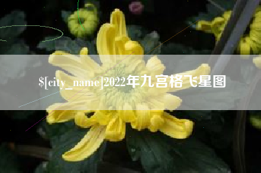 阳春2022年九宫格飞星图