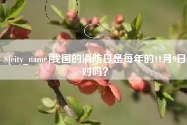 阳春我国的消防日是每年的11月9日对吗？