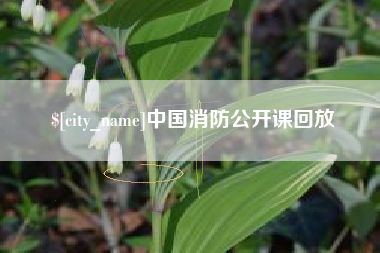 阳春中国消防公开课回放