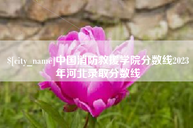 阳春中国消防救援学院分数线2023年河北录取分数线
