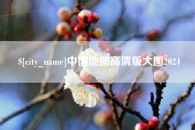 阳春中国地图高清版大图2024