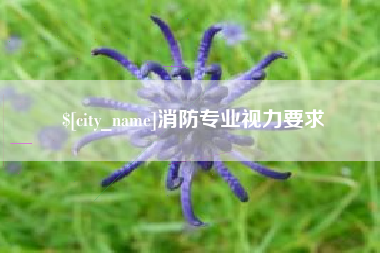 阳春消防专业视力要求