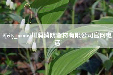 阳春川消消防器材有限公司官网电话