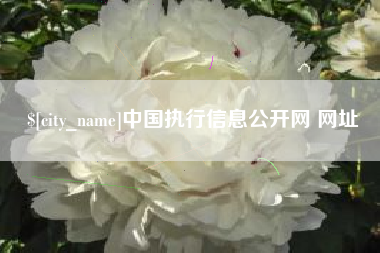 阳春中国执行信息公开网 网址