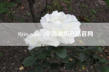 阳春中国消防产品官网