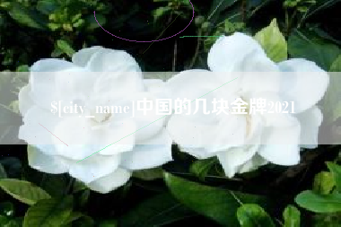 阳春中国的几块金牌2021