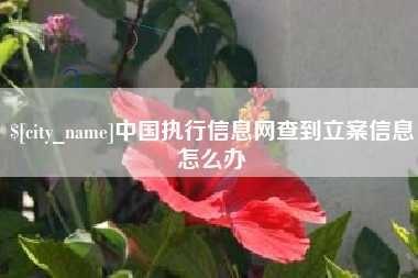 阳春中国执行信息网查到立案信息怎么办