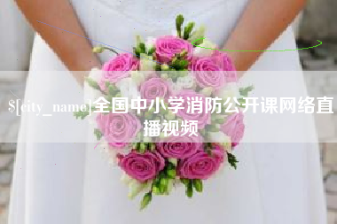 阳春全国中小学消防公开课网络直播视频