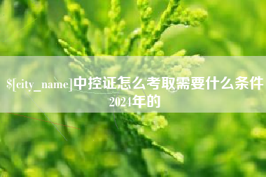 阳春中控证怎么考取需要什么条件2024年的