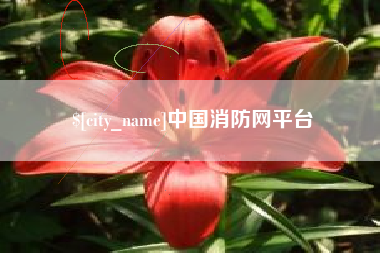 阳春中国消防网平台