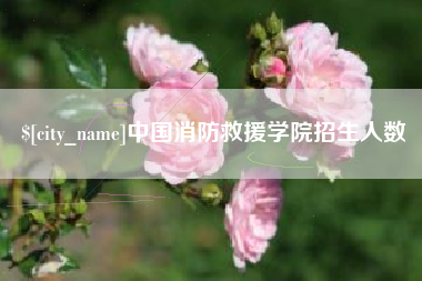 阳春中国消防救援学院招生人数