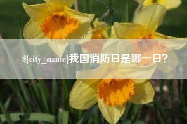 阳春我国消防日是哪一日？