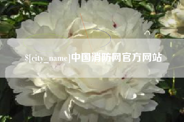 阳春中国消防网官方网站