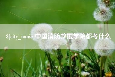 阳春中国消防救援学院都考什么