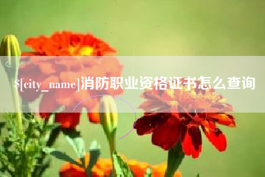 阳春消防职业资格证书怎么查询