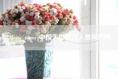 阳春中国失信执行人查询官网