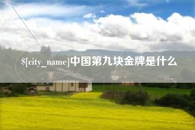 阳春中国第九块金牌是什么