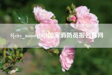 阳春2021国家消防员报名官网