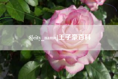 阳春王子豪百科