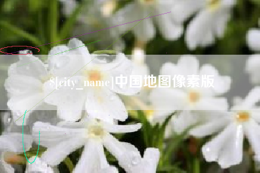 阳春中国地图像素版