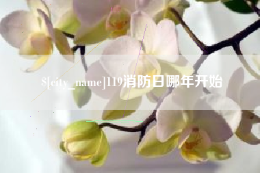 阳春119消防日哪年开始